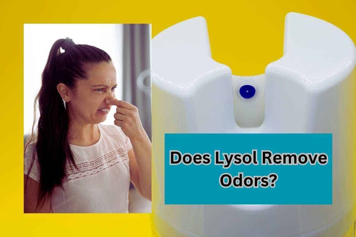 Does Lysol Remove Odors? Exposing Hidden Truths Clean Life Blog