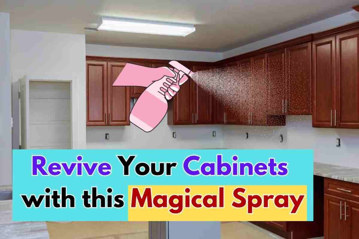 Magic Of Kitchen Cleaning With Homemade Sprays Clean Life Blog