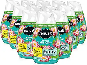Renuzit Gel Air Freshener (Budget Choice)